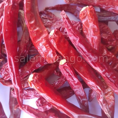 Dry Red Chilli