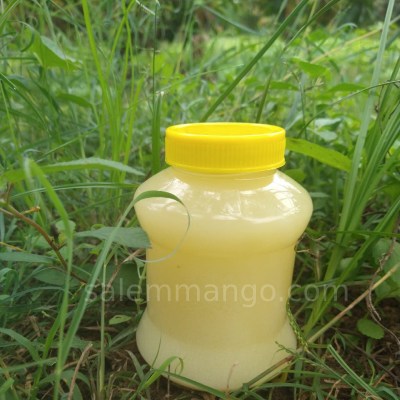 Pure Buffalo Ghee