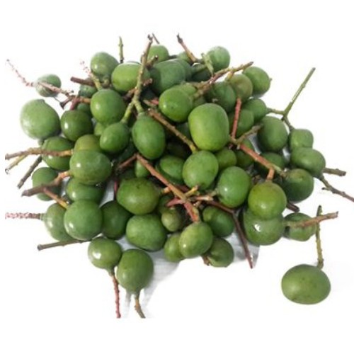 Buy Salem Gundu Vadu Mango online at best price direct from farmers