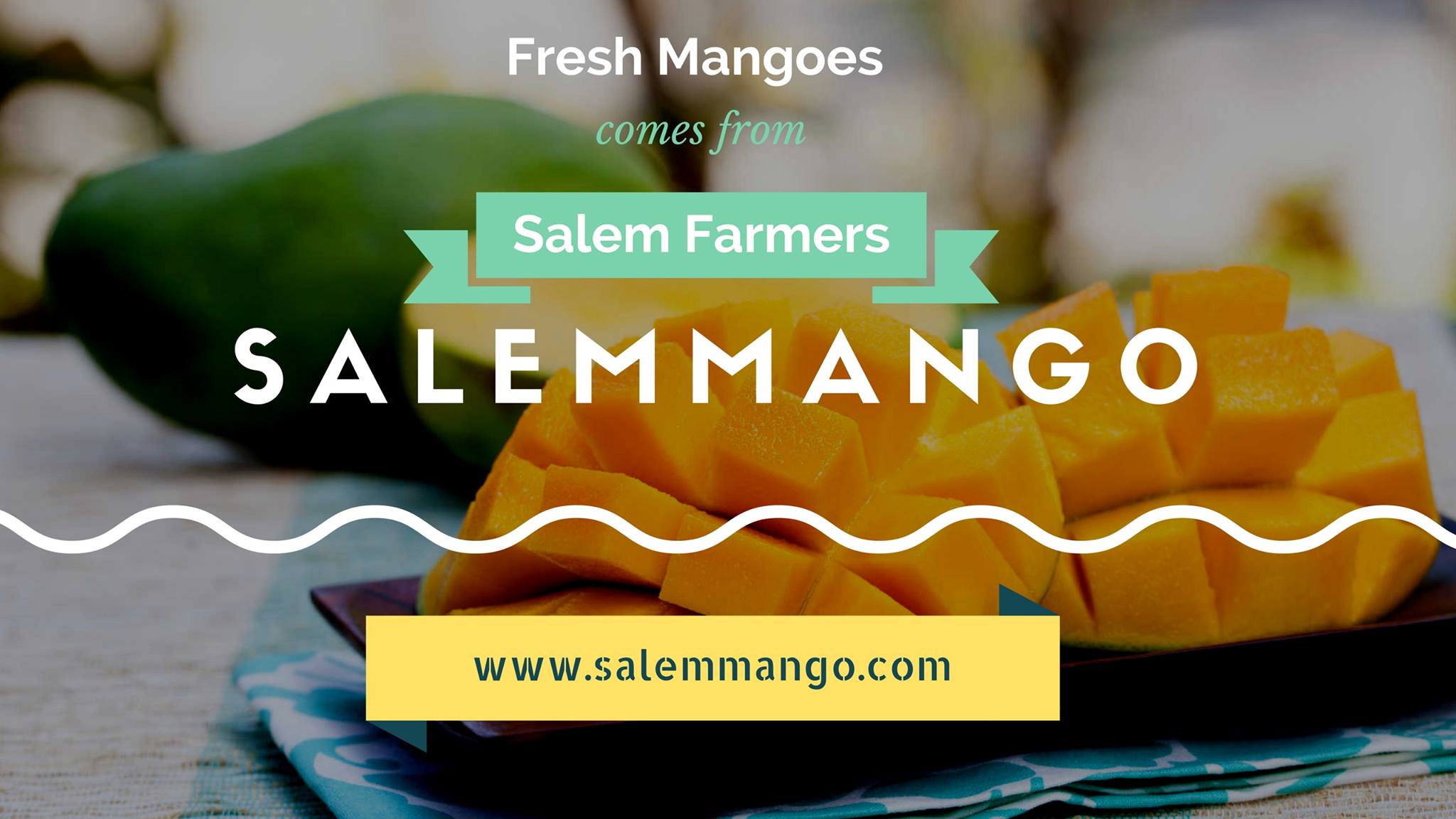 Salemmango Buy Organic Mangoes, Rice, Jaggery Online at best price in