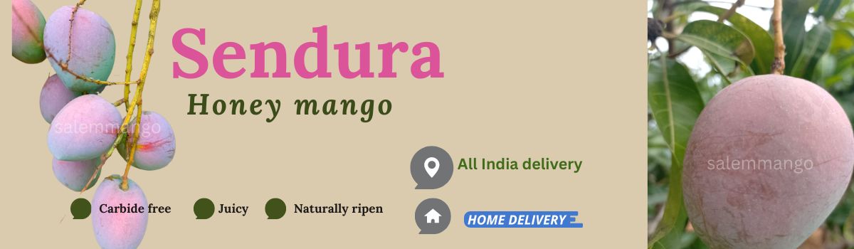 Sendura Mango 2023 Coverpage