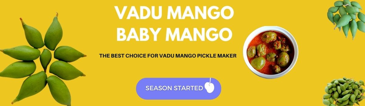 Vadumango 2023 Coverpage