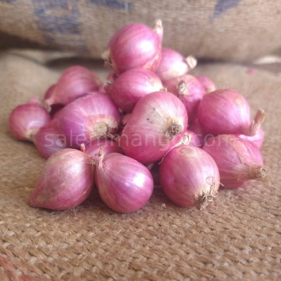 Small Onion / Chinna Vengayam