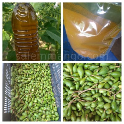 Vadu Mango Pickle Combo